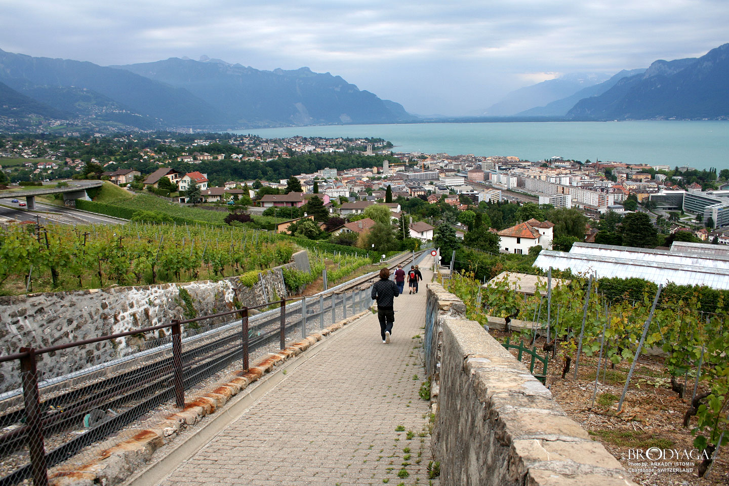 Chardonne